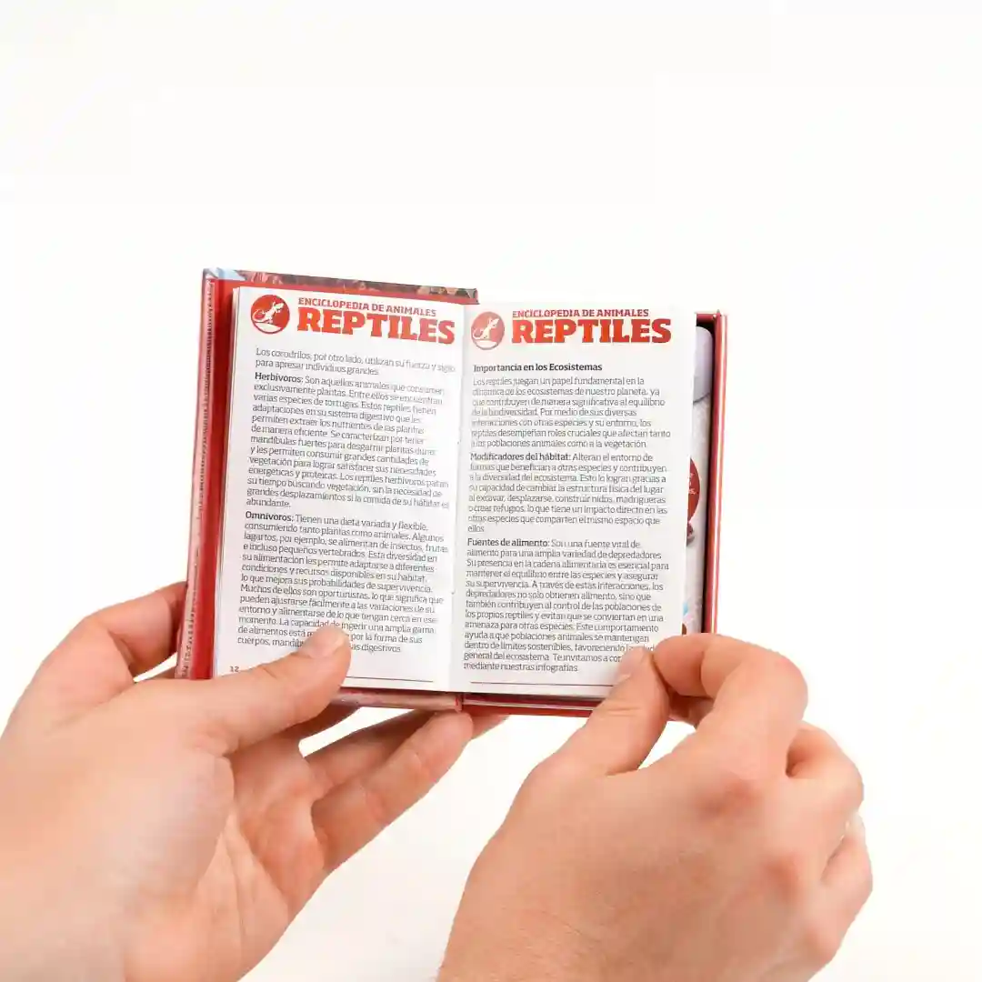 Luminias Clap! Reptiles Juego De Cartas Enciclopédico - Imagen 5