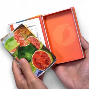 Luminias Arts Pintores Volumen 2 Juego de Cartas nueva presentación CLAP!