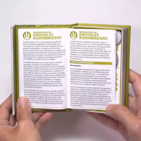 Luminias Animales Asombrosos Juego De Cartas Enciclopédico nueva presentación CLAP! - Imagen 7
