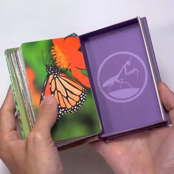 Luminias Bichos juego de cartas enciclopédico nueva presentación CLAP! - Imagen 2