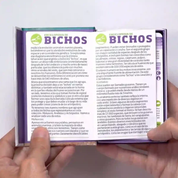Luminias Bichos juego de cartas enciclopédico nueva presentación CLAP! - Imagen 4