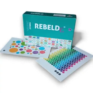 WhatsApp Image 2025-11-27 at 16.14.12 Juego cognitivo Rebelde PIMBALE
